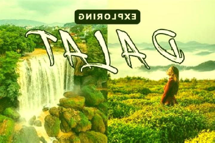 Escorts Dalat, Malaysia — Local Companions