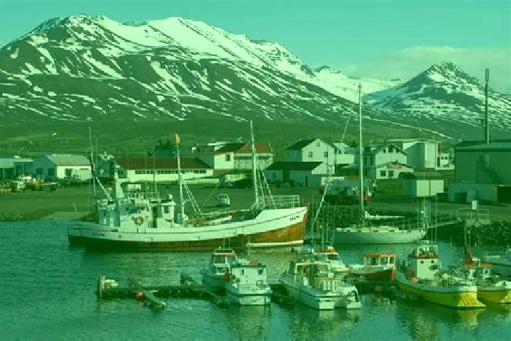 Escorts Dalvik, Iceland — Local Companions