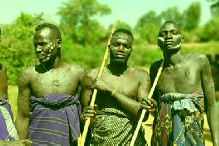 Escorts Damboya, Ethiopia — Local Companions