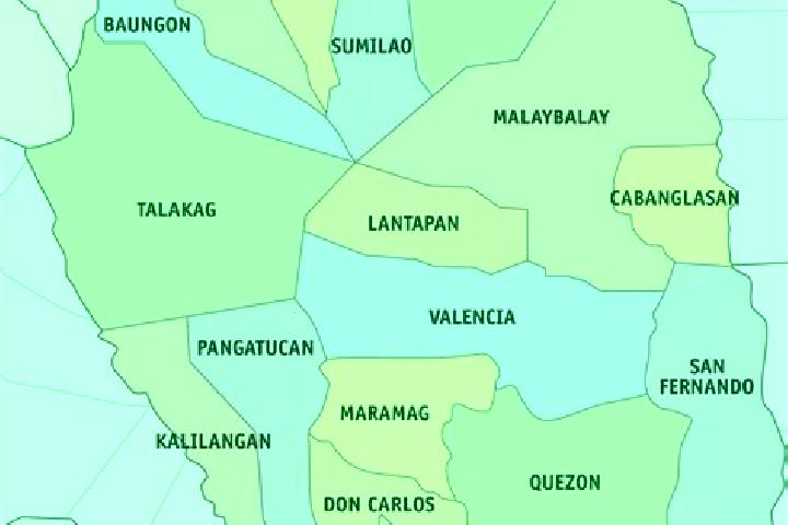 Escorts Damilag, Philippines — Local Companions