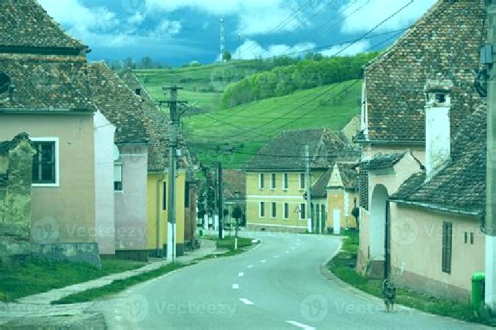 Escorts Daneasa, Romania — Local Companions