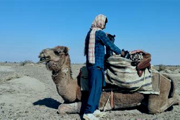 Escorts Dasht-e Archi, Afghanistan — Local Companions