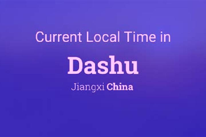 Escorts Dashu, China — Local Companions
