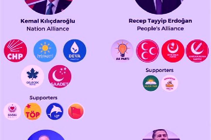 Escorts Davulga, Turkey — Local Companions