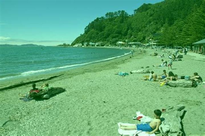 Escorts Days Bay, New Zealand — Local Companions