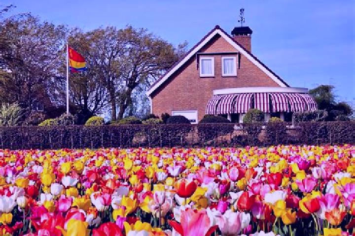 Escorts De Glip, Netherlands — Local Companions
