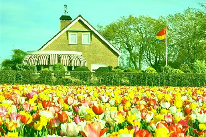 Escorts De Maer, Netherlands — Local Companions