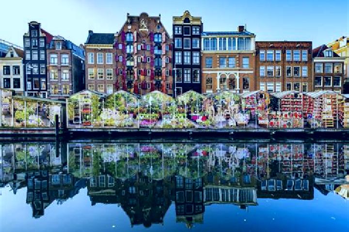 Escorts De Noord, Netherlands — Local Companions