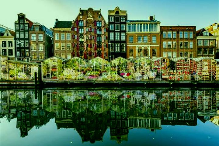 Escorts Deest, Netherlands — Local Companions