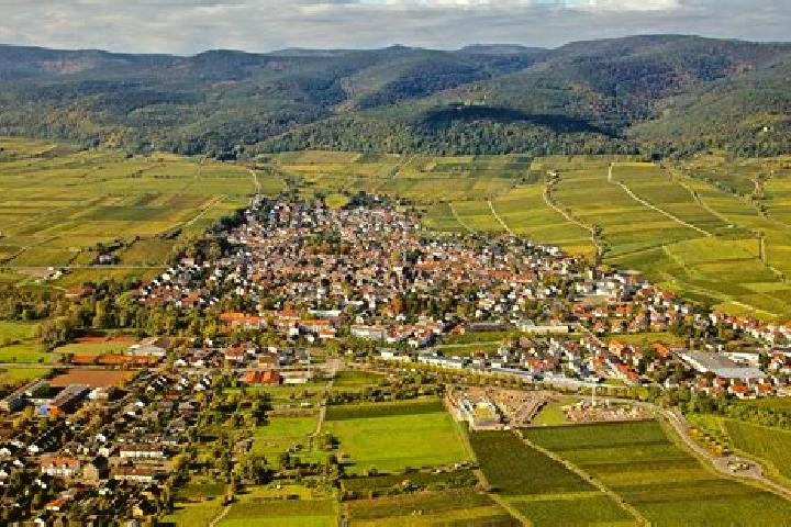 Escorts Deidesheim, Germany — Local Companions