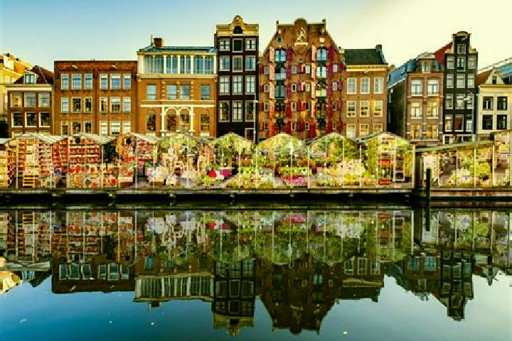Escorts Delfshaven, Netherlands — Local Companions