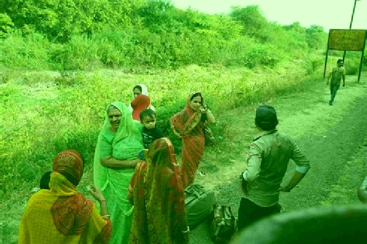 Escorts Delvada, India — Local Companions