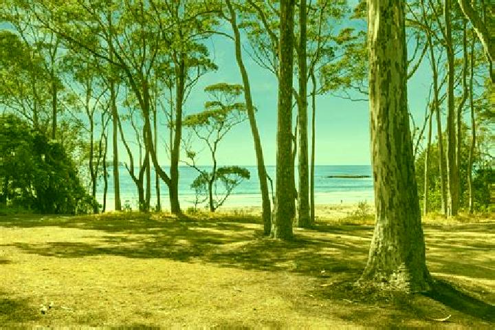 Escorts Denhams Beach, Australia — Local Companions