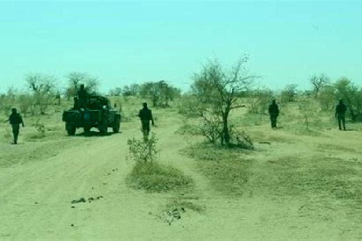 Escorts Deou, Burkina Faso — Local Companions