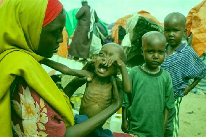 Escorts Dhabad, Somalia — Local Companions