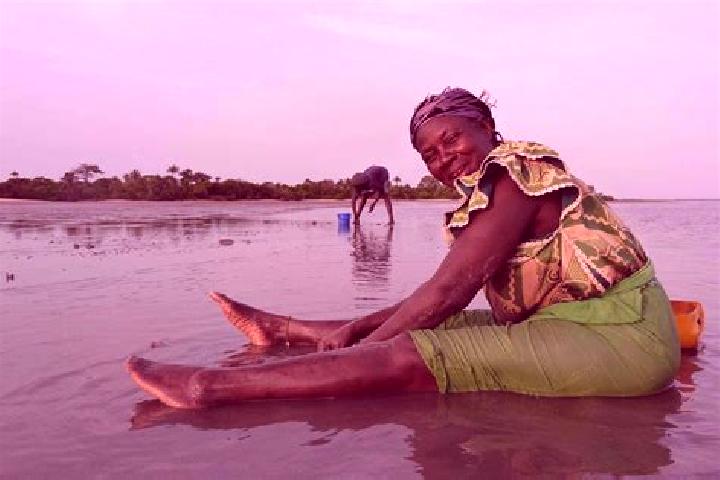 Escorts Diabugu, Gambia — Local Companions
