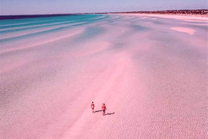 Escorts Diamond Beach, Australia — Local Companions