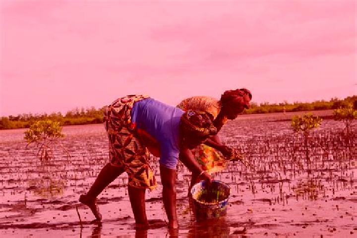 Escorts Diattakounda, Senegal — Local Companions