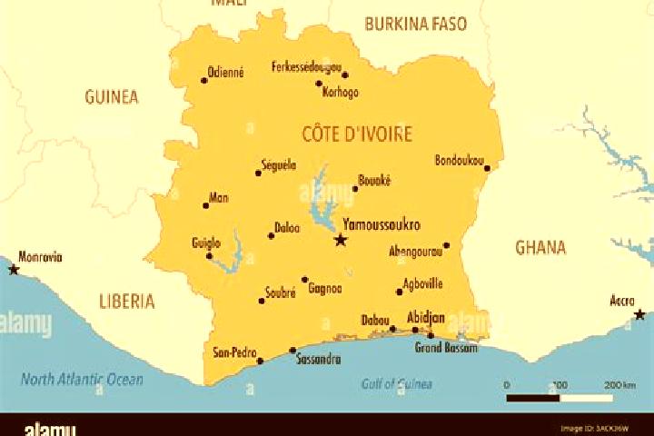 Escorts Didievi, Ivory Coast — Local Companions