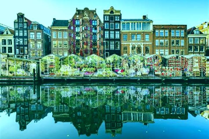Escorts Diepenheim, Netherlands — Local Companions