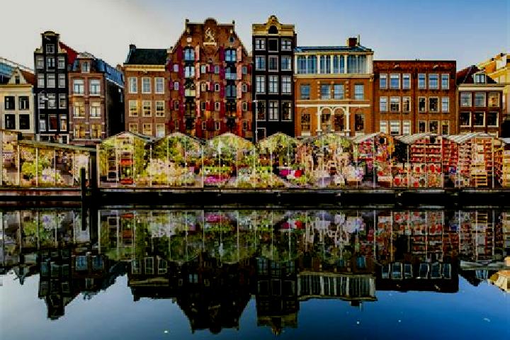 Escorts Dieteren, Netherlands — Local Companions