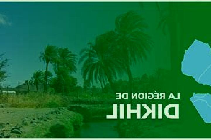 Escorts Dikhil, Djibouti — Local Companions