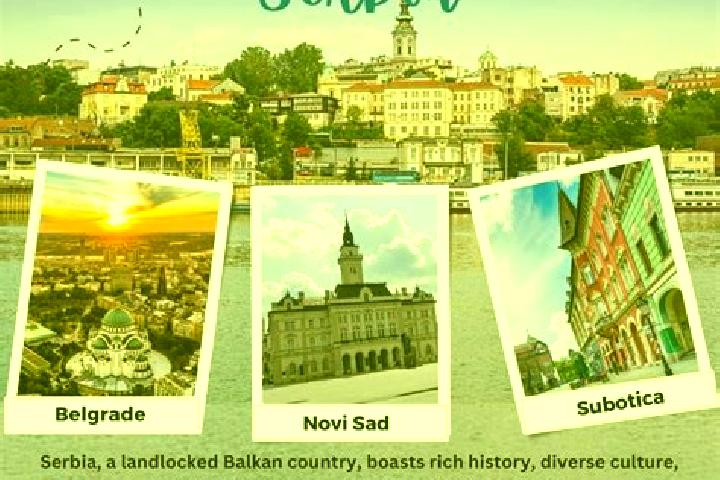 Escorts Dimitrovgrad, Serbia — Local Companions