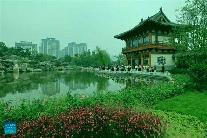 Escorts Dingzhou, China — Local Companions