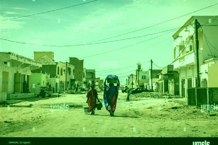 Escorts Djowol, Mauritania — Local Companions