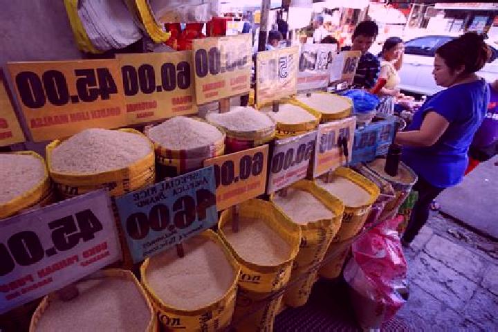 Escorts Dobdoban, Philippines — Local Companions