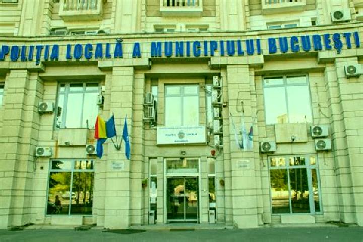 Escorts Dobricionesti, Romania — Local Companions