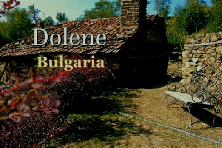 Escorts Dolna Mitropolia, Bulgaria — Local Companions