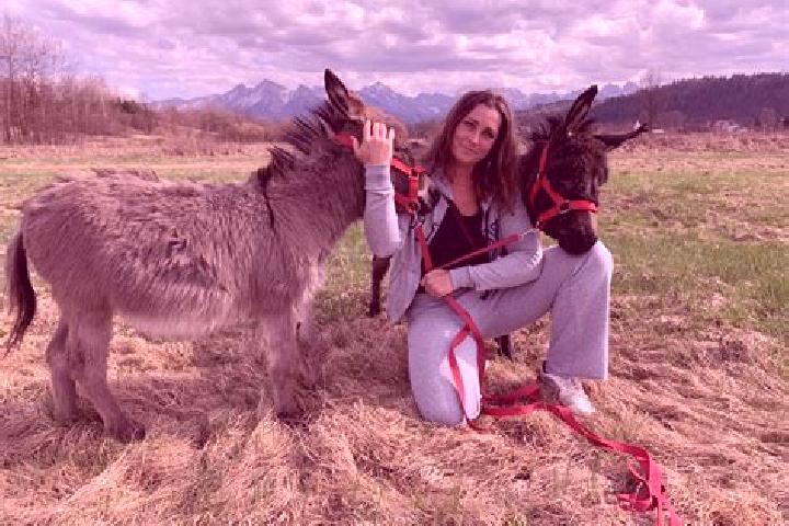 Escorts Dolni Brezany, Czech Republic — Local Companions