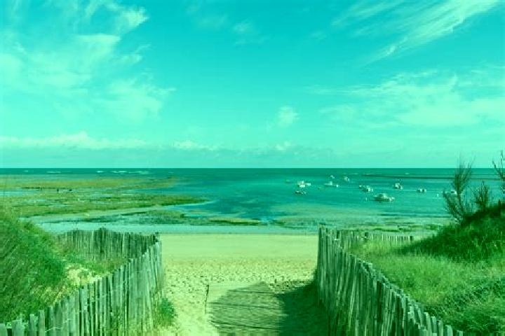 Escorts Dolus-d Oleron, France — Local Companions