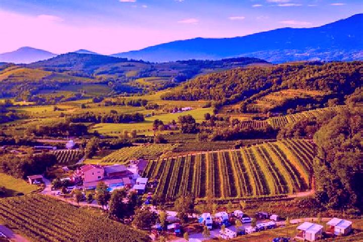 Escorts Dornberk, Slovenia — Local Companions