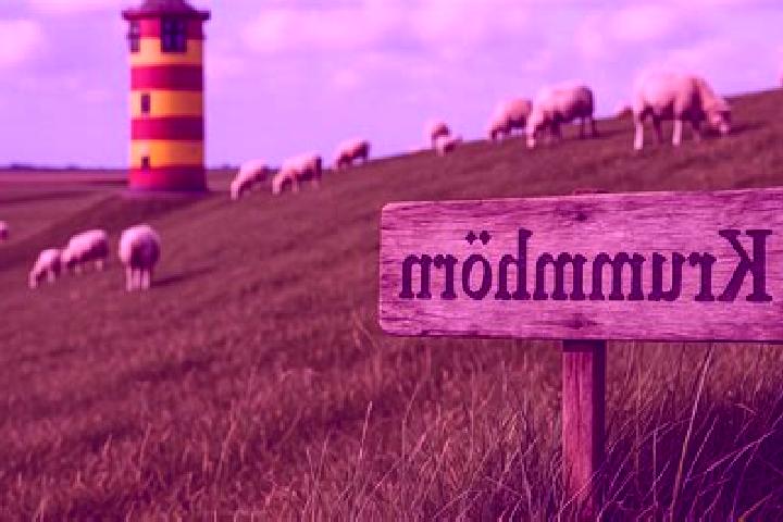 Escorts Dornum, Germany — Local Companions