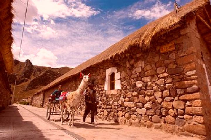 Escorts Dos Pueblos, Peru — Local Companions