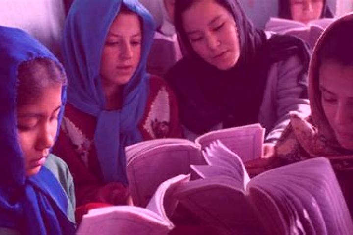 Escorts Doshi, Afghanistan — Local Companions