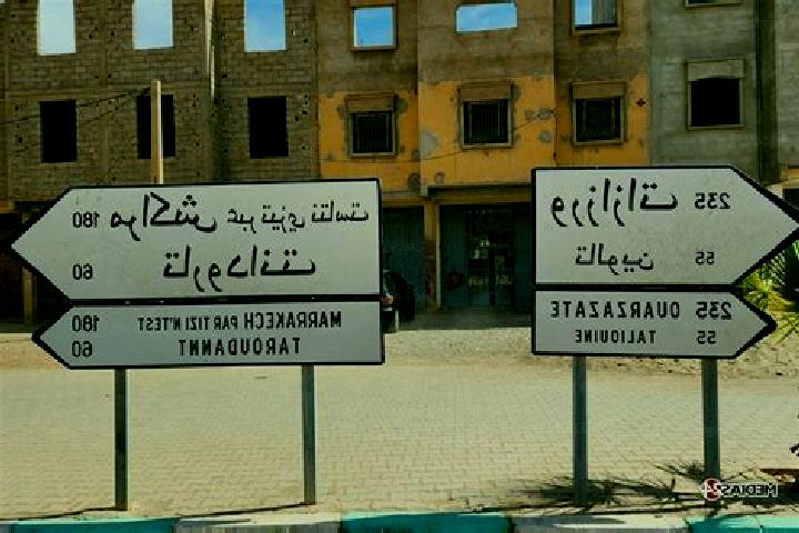 Escorts Douar el Caid el Gueddari, Morocco — Local Companions