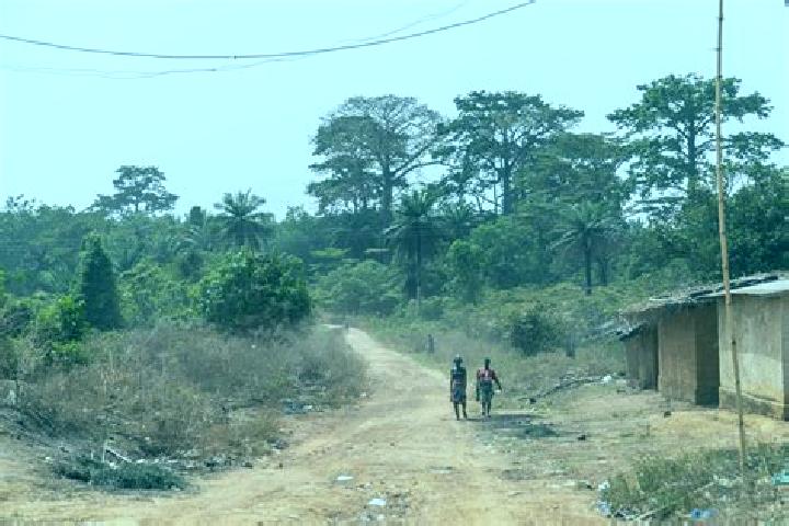 Escorts Douele, Ivory Coast — Local Companions