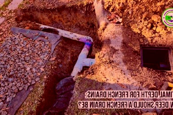 Escorts Drain, France — Local Companions