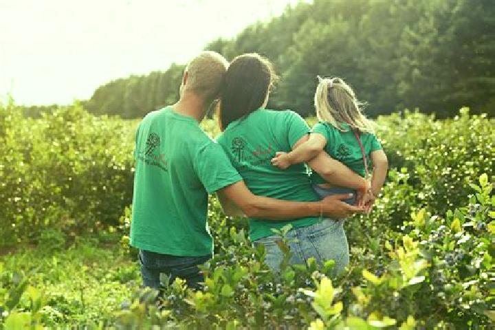Escorts Drezdenko, Poland — Local Companions
