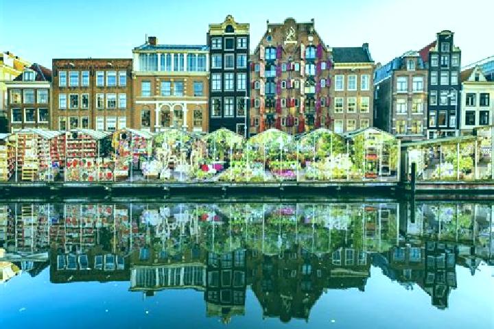 Escorts Driewegen, Netherlands — Local Companions