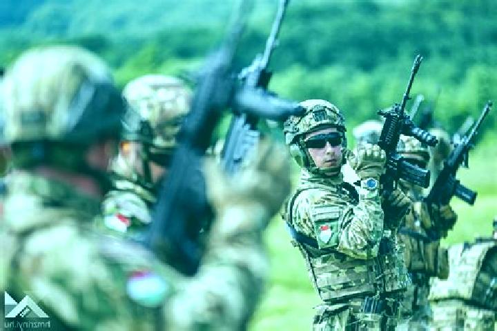 Escorts Drinovci, Bosnia and Herzegovina — Local Companions