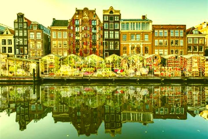 Escorts Drouwenermond, Netherlands — Local Companions