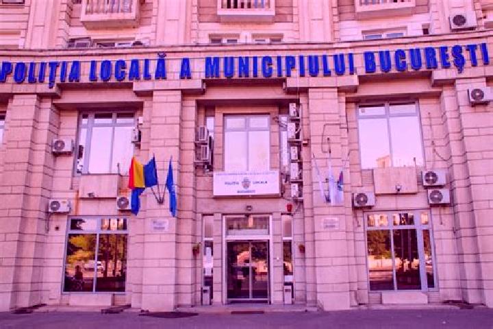 Escorts Dudescu, Romania — Local Companions