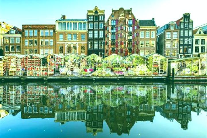 Escorts Duinzigt, Netherlands — Local Companions