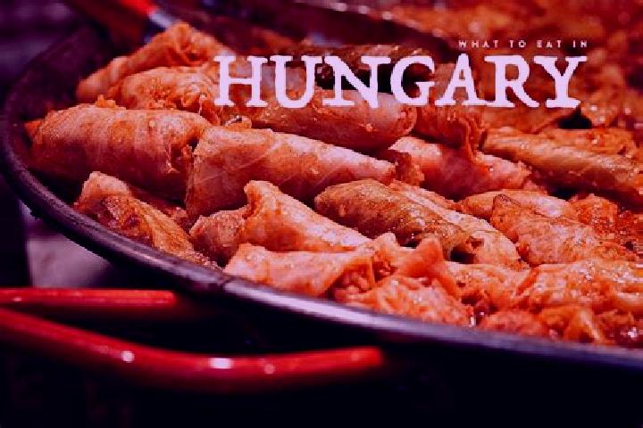 Escorts Dunafoldvar, Hungary — Local Companions