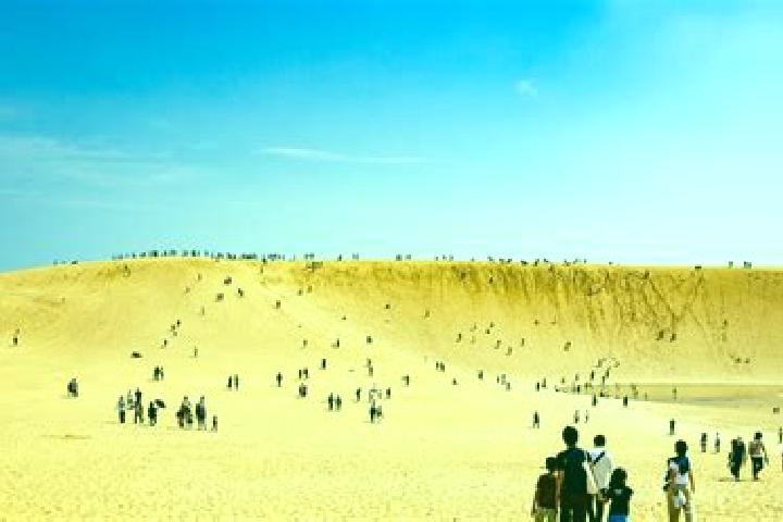 Escorts Dunes, France — Local Companions