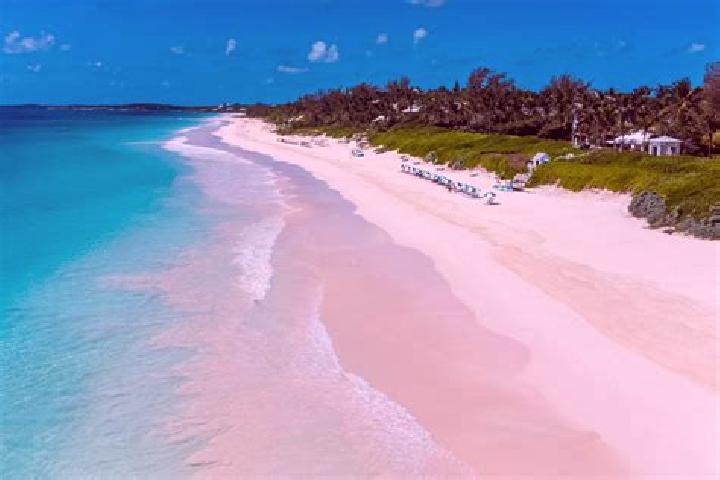 Escorts Dunmore Town, Bahamas — Local Companions